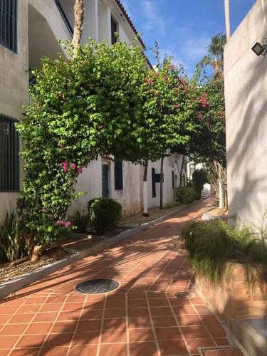 Garden, Costa Azul Vacation Apartment Isla Margarita in Porlamar