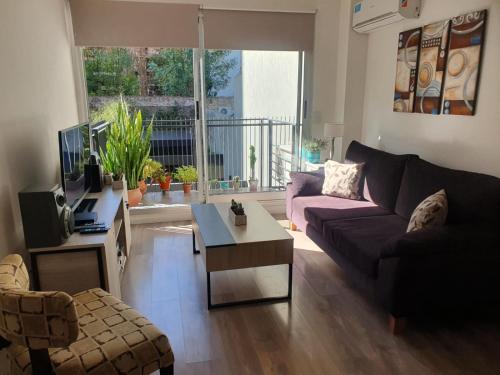 One-Bedroom Apartment image 10