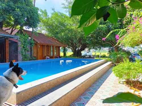 Tam Coc Sunshine Homestay – Hoa Lu