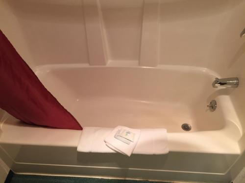 ฝักบัว, Sunshine Motel in ฟิเฟ (WA)