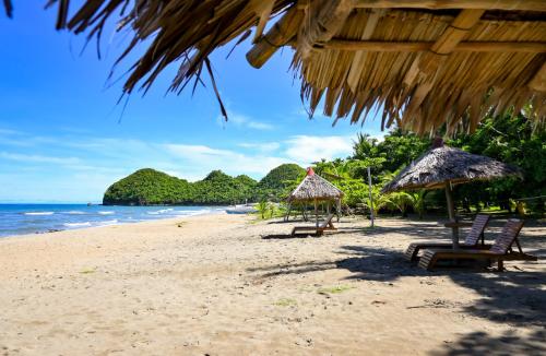 Driftwood Village Resort