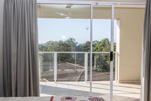 Azriel 4 in Shelly Beach