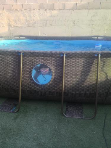  Vivienda Rural in Olivares