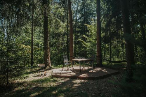 Сад, Forest Cabin - 50min od Warszawy in Міньск-Мазовєцький
