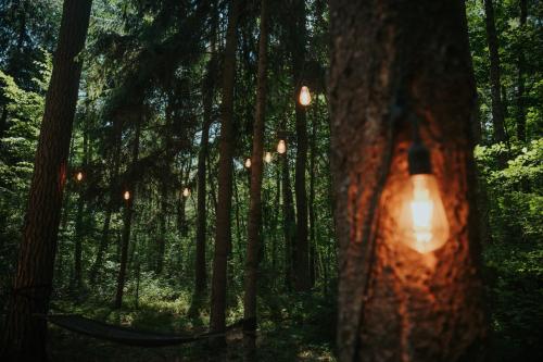Навколишнє середовище, Forest Cabin - 50min od Warszawy in Міньск-Мазовєцький