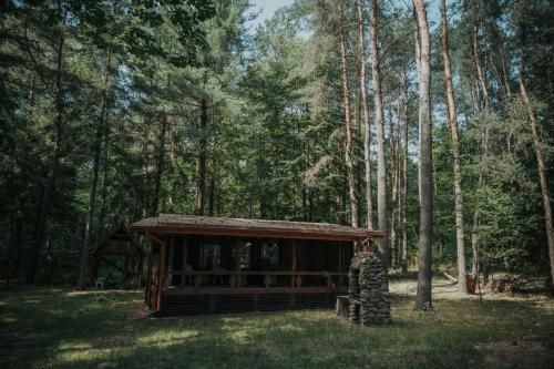 . Forest Cabin - 50min od Warszawy