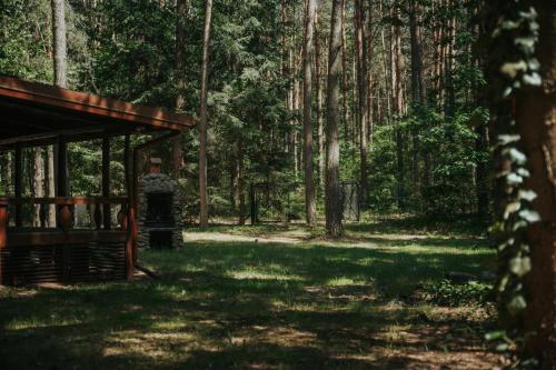 Навколишнє середовище, Forest Cabin - 50min od Warszawy in Міньск-Мазовєцький
