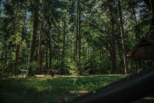 Навколишнє середовище, Forest Cabin - 50min od Warszawy in Міньск-Мазовєцький