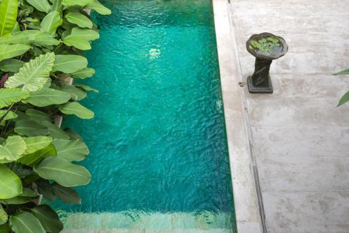 Villa Iva Canggu Bali