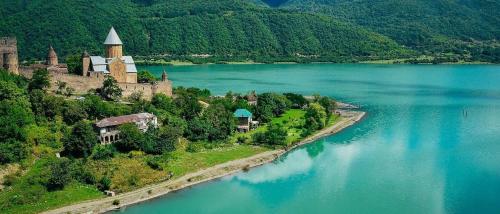 ❆cozy, 4 BR. Villa in Ananuri❆ in Ananuri