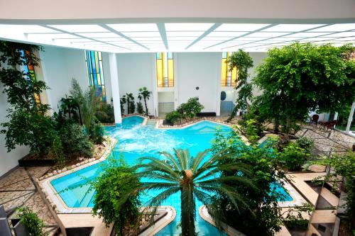 Gyógyfürdő, Hotel La Reginella Resort & Spa in Lacco Ameno