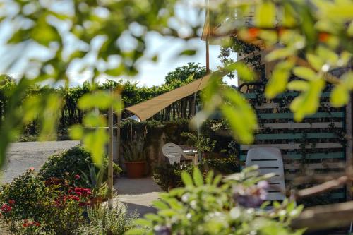 B&B La Ciammaruca chambre d'hôte Bonomo