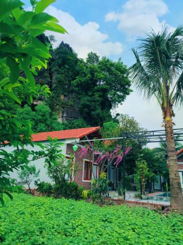 TRANG AN NATURAL MOUNTAINSIDE HOMESTAY