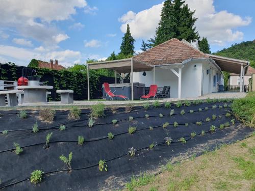 ทัศนียภาพภายนอกโรงแรม, GOfoREST - 150y Old Vintage Cottage Balaton - max 6 person in เลเซนเชโตไม