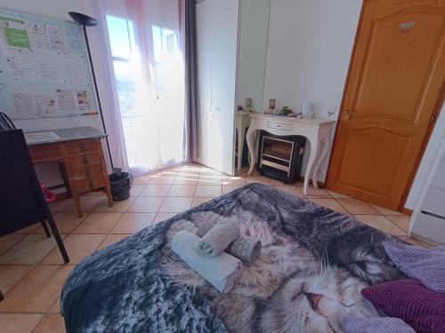 Double room with great view, Nice (fotografie 9)