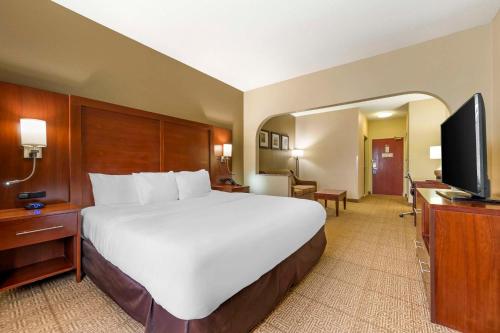 Comfort Suites in Castle Rock, USA