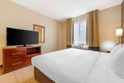 Comfort Suites in Castle Rock, USA