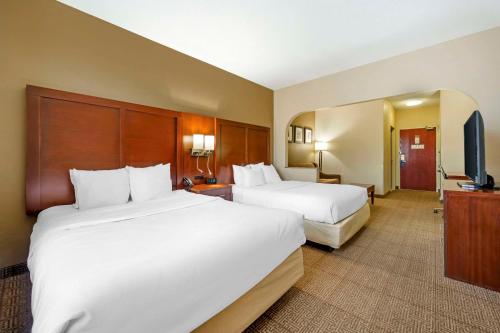 Comfort Suites Castle Rock - image 12