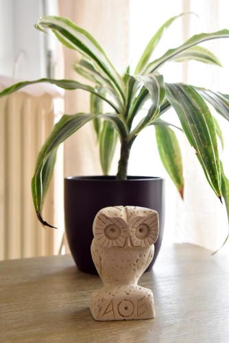 Beach apartment Beach apartment