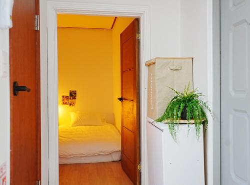 Near Lotte World, KSPO DOME, COEX, Olympic Park, 2 Rooms, 2 Queen beds, 1 super single bed, 5 people, Soul (fotografie 11)