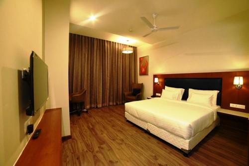 ARIENA - The Boutique Hotel, Raipur (foto 8)