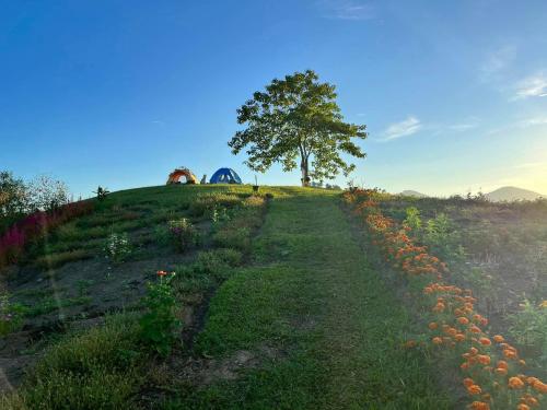 Apkārtne, Bamboo Huts Farm Stay at Humming Strawberry Farm in Bagabag