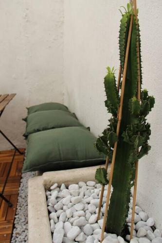 Le Cactus - Appartement avec terrasse, Marseille (photo 2)