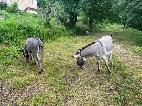 Château Lou Cante Perdrix - La Vernarède