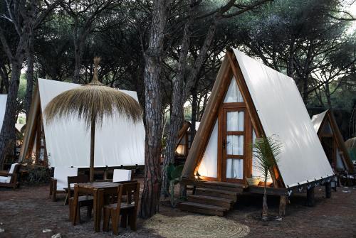 Kert, TAIGA Conil in Cabo Roche