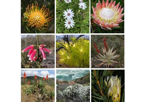 Erika27 Top B&B Choice Erika27 Top B&B Choice