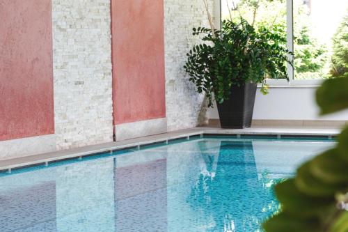 Hotel Alpenblick - main image