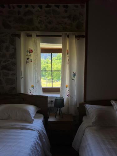 Molla Guest House