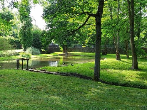 Сад, Gîte du Moulin du Ponceau (Gite du Moulin du Ponceau) in Рубелле