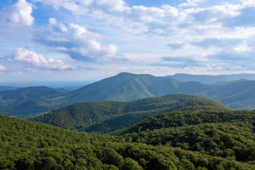 Bluebird Mountain Home Bluebird Mountain Home