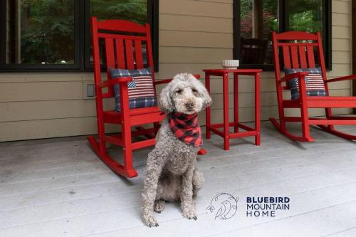 Bluebird Mountain Home Bluebird Mountain Home