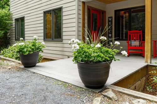 Bluebird Mountain Home Bluebird Mountain Home