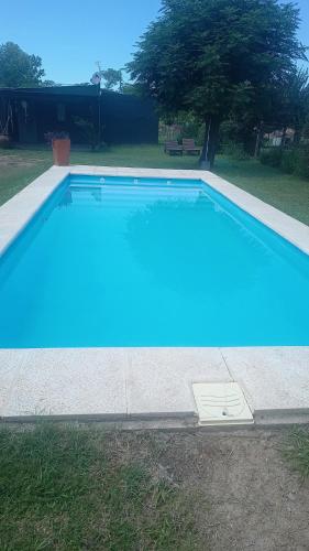 Kapo TEAM , el zorzal in Villa Amancay