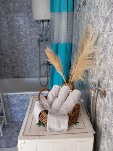 Rustic house Hutovo Blato in Humac