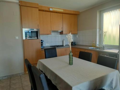 keuken, Wellness Park Apartman in Dunaszentmiklos