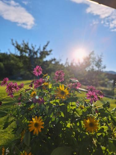 Filzenhof - Apartment - Kitzbühel