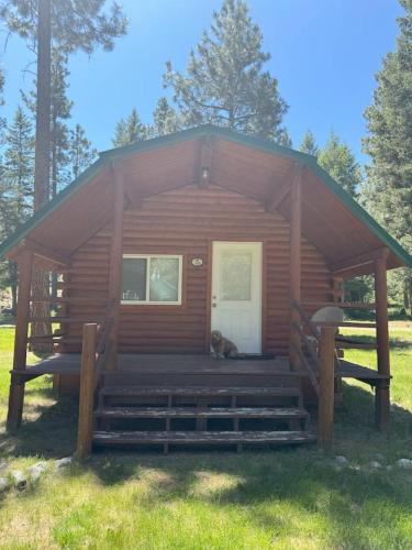 Lost Horse Lodge Double Queen Cabin 19 - PetsOK in Darby (MT)