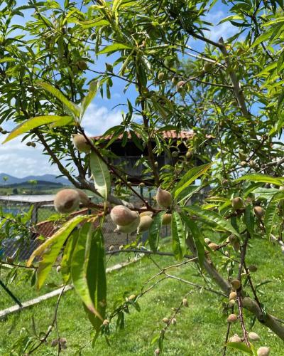  Alvares de Corvera in El Pontón
