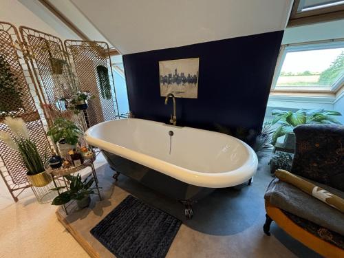 Létesítmények, Willow Barn luxury countryside accommodation in Bury St Edmunds in Ixworth