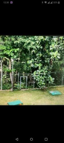 Comfort Zone at The Ridge E17, Ocho Rios (foto 8)