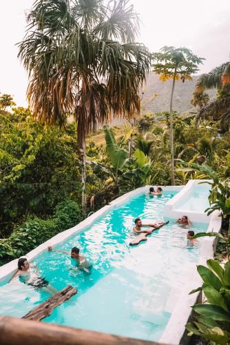 The Valley Tayrona hostel- A social jungle hostel