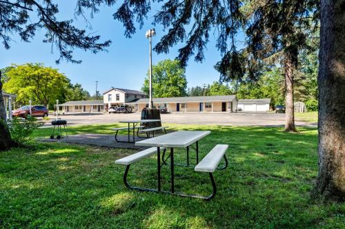 Americas Best Value Inn Jonesville/Hillsdale - image 9