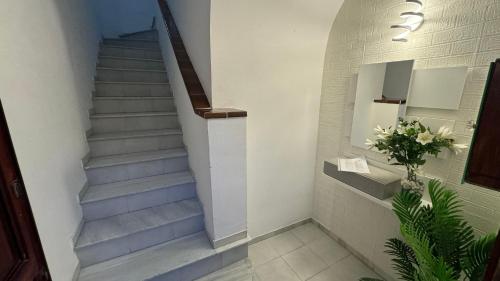 La Terraza del Sol La Terraza del Sol