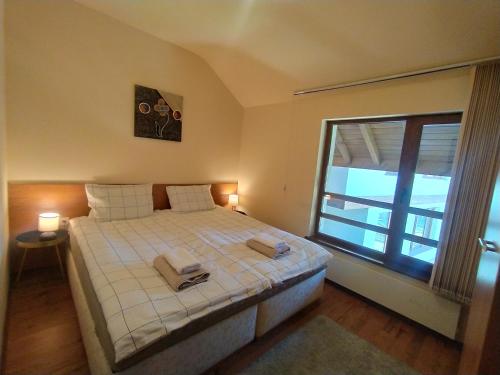 Cozy flat in NEON, Bansko (fotografie 7)