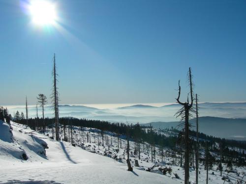 Omgeving, Landhaus Wildfeuer in Kirchdorf i. Wald
