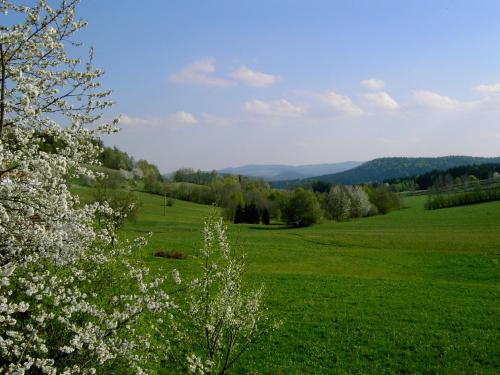 Omgeving, Landhaus Wildfeuer in Kirchdorf i. Wald